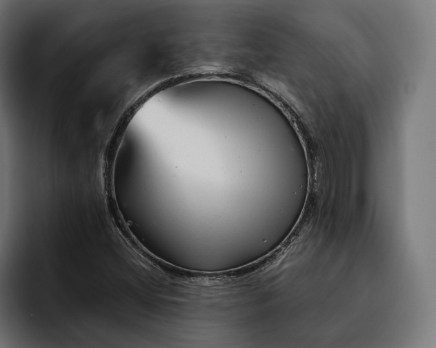 X0000093121404200710101031