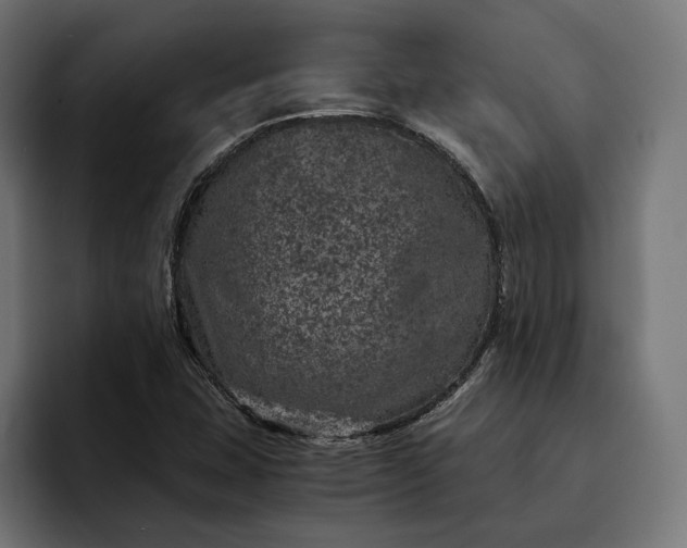 X0000093121407200710101031