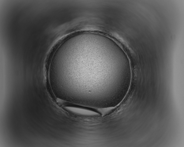 X0000093121408200710101031