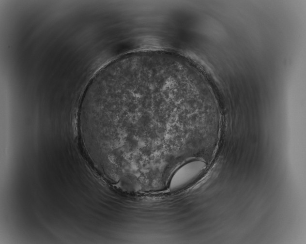 X0000093121409200710101031