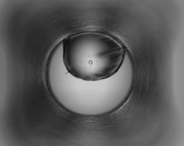 X0000093121410200710101031