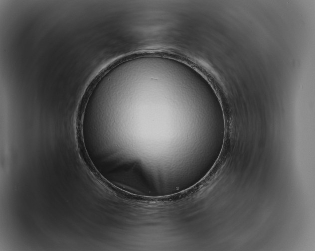 X0000093121412200710101031