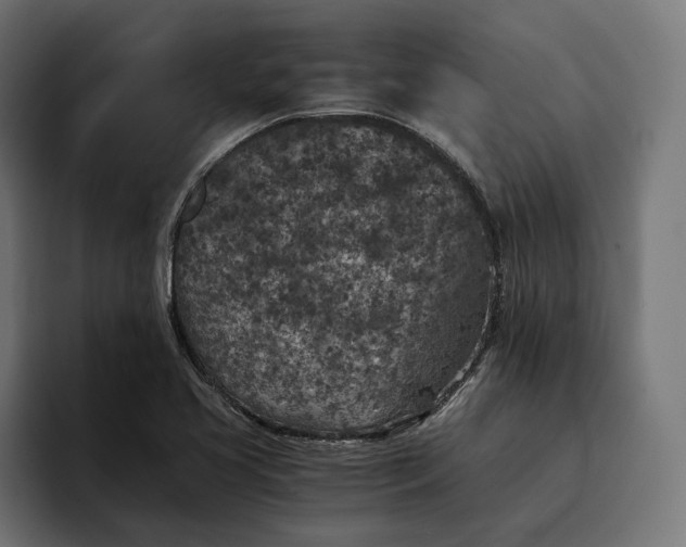 X0000093121413200710101031