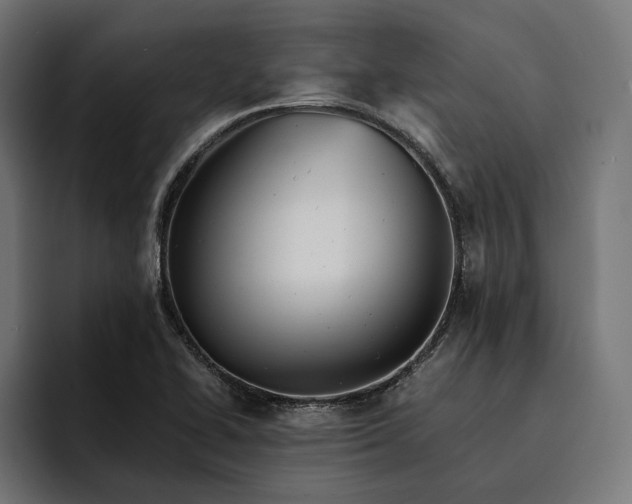 X0000093121414200710101031