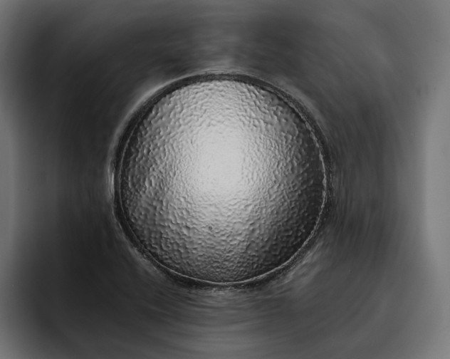 X0000093121416200710101031