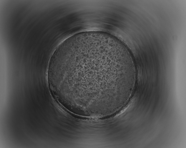 X0000093121417200710101031