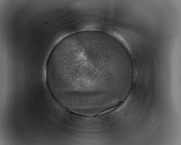 X0000093121419200710101031