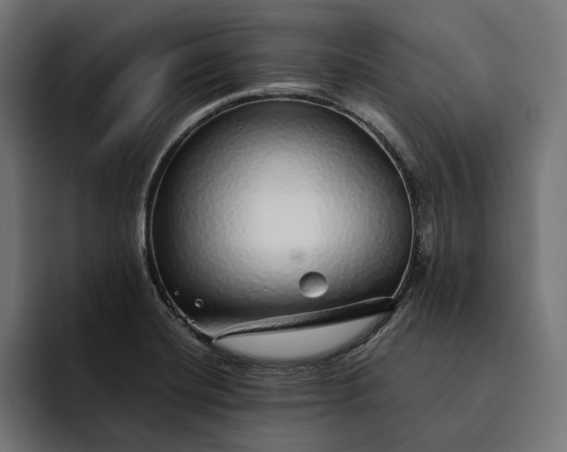 X0000093121420200710101032