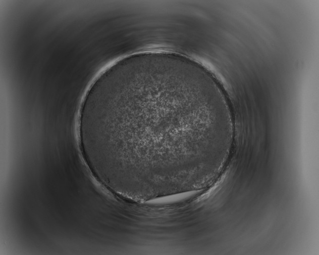 X0000093121421200710101032