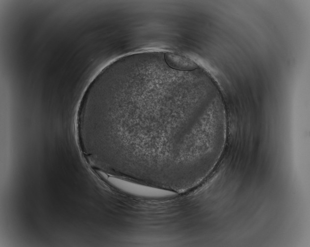 X0000093121423200710101032