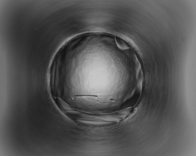 X0000093121424200710101032