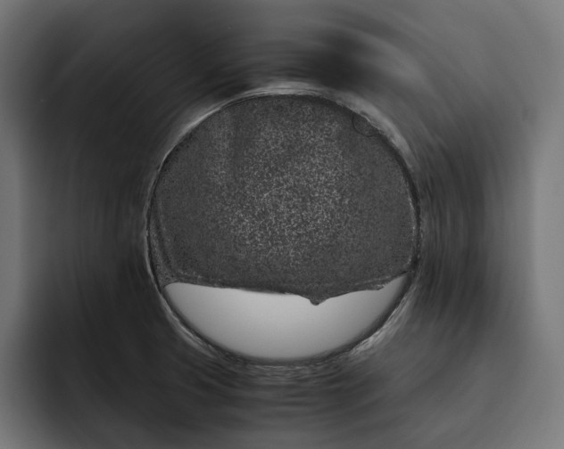 X0000093121425200710101032