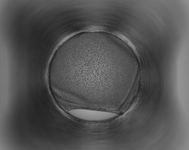 X0000093121429200710101032