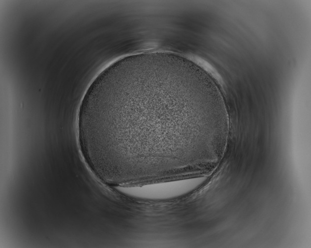 X0000093121431200710101032