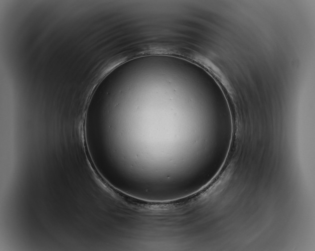 X0000093121433200710101032