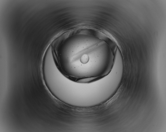 X0000093121434200710101032