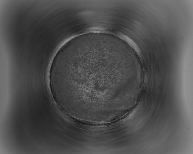 X0000093121435200710101032