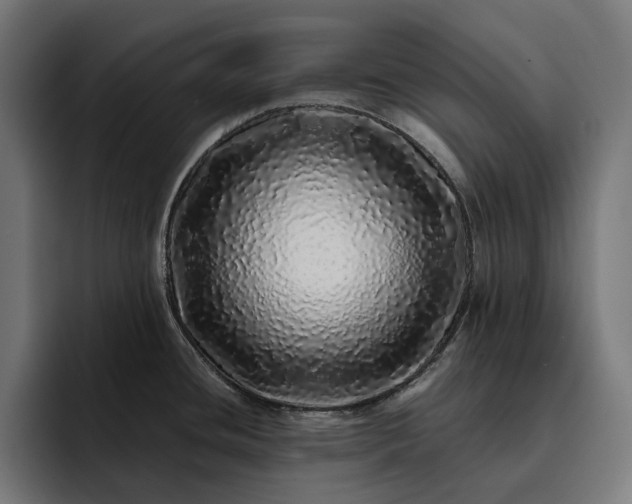 X0000093121436200710101032