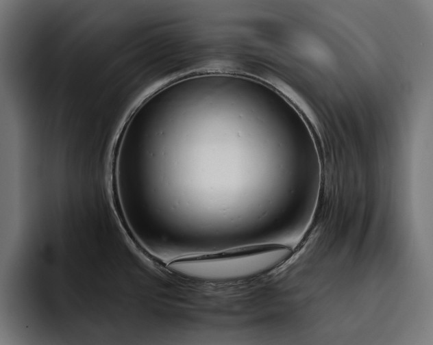 X0000093121437200710101032