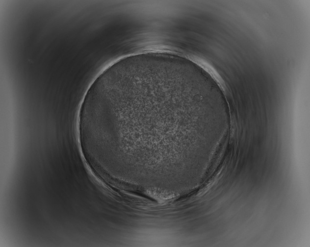 X0000093121439200710101032