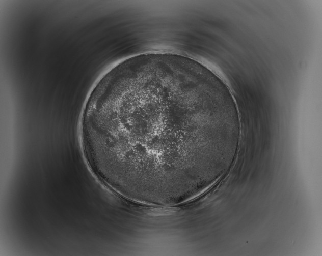 X0000093121440200710101032