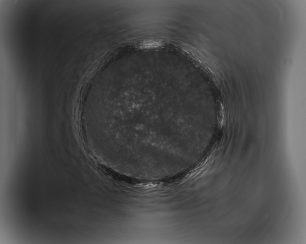 X0000093121441200710101031