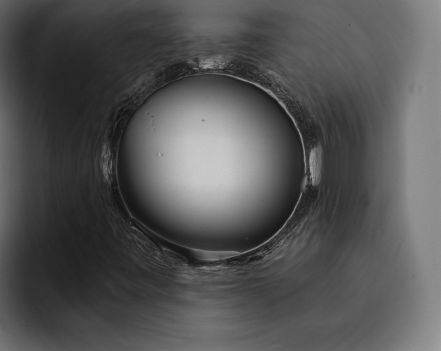 X0000093121443200710101031