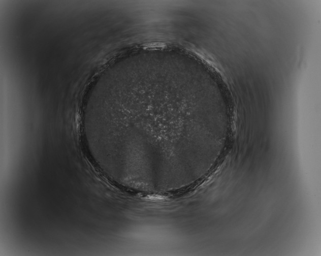 X0000093121445200710101031