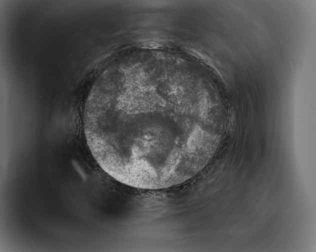 X0000093121446200710101031