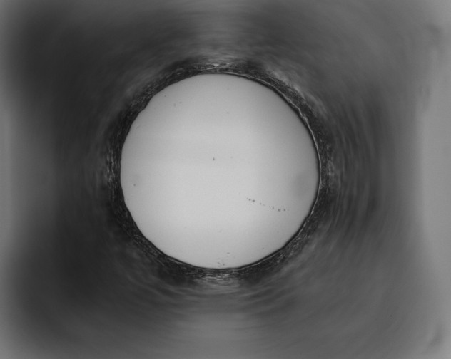 X0000093121447200710101031