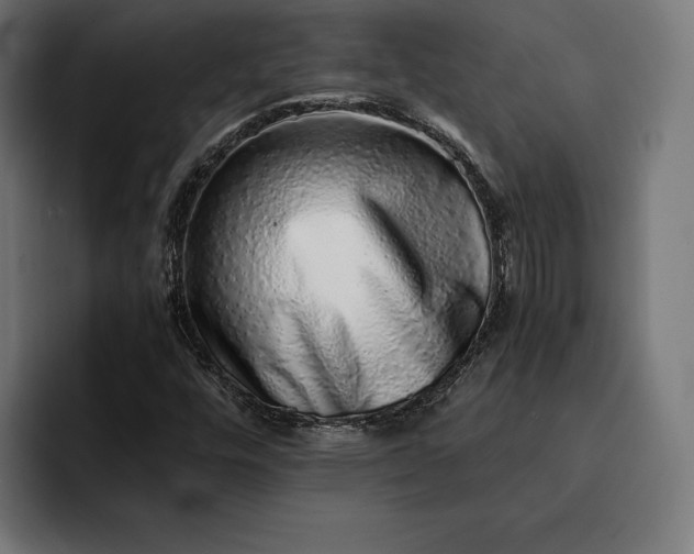 X0000093121448200710101031