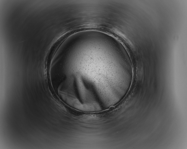 X0000093121450200710101031