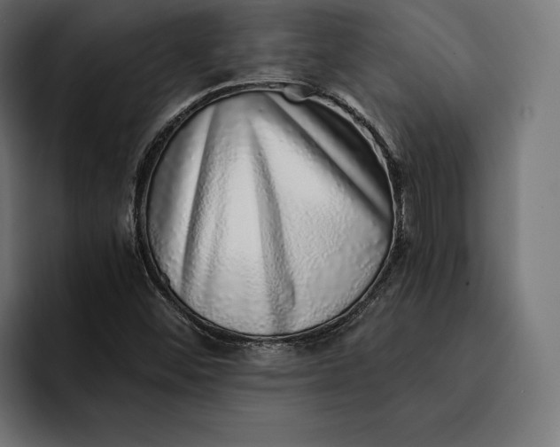 X0000093121452200710101031