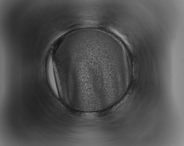 X0000093121453200710101031