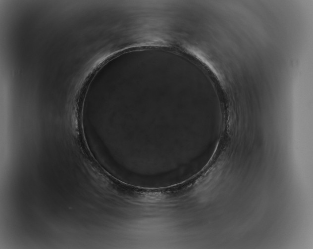 X0000093121455200710101031