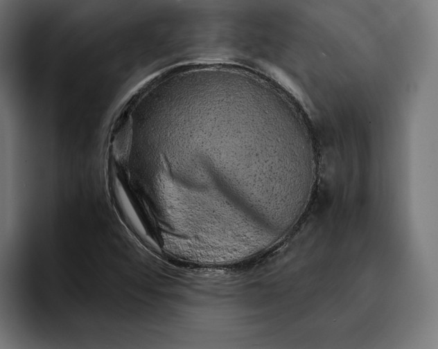 X0000093121456200710101031