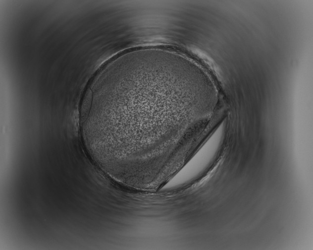 X0000093121457200710101031