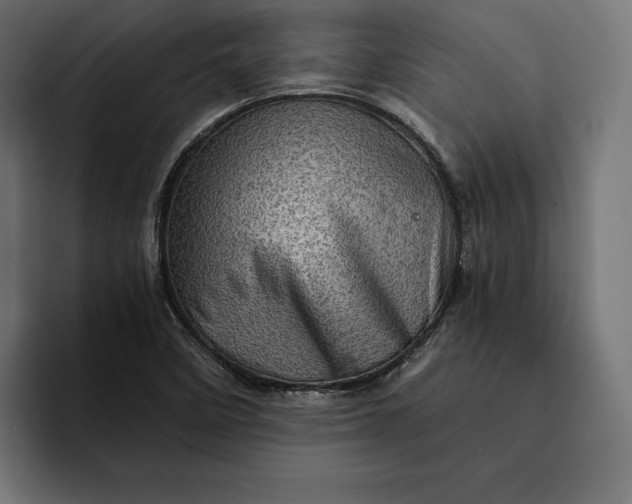 X0000093121458200710101031