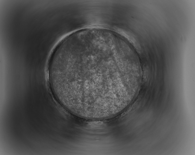 X0000093121462200710101031