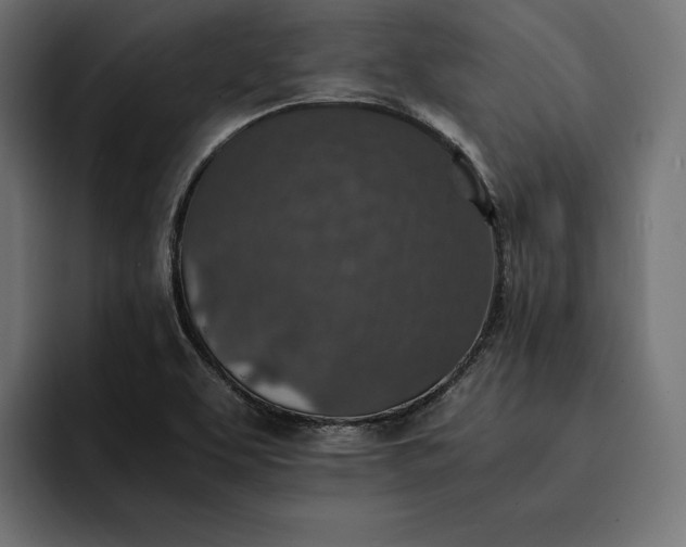 X0000093121463200710101031