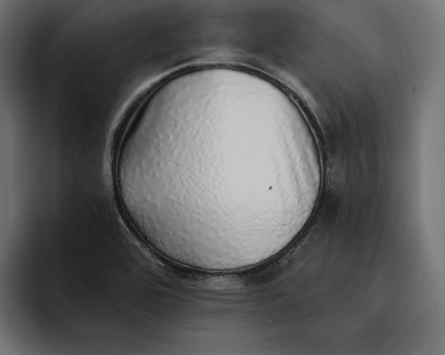 X0000093121464200710101031