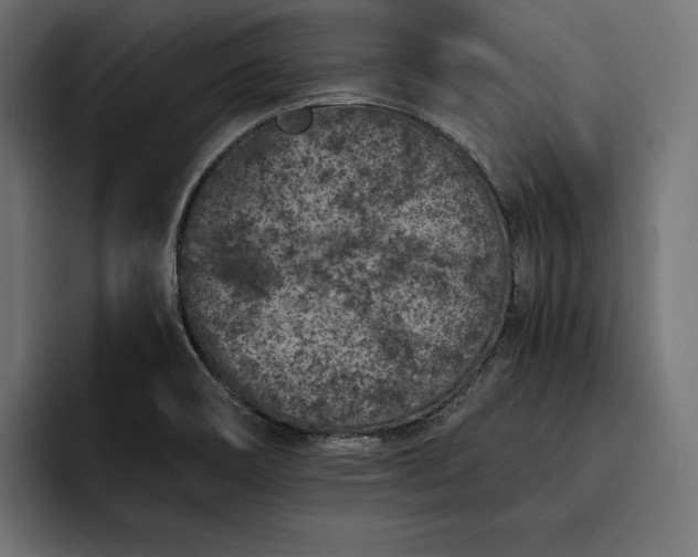 X0000093121466200710101031