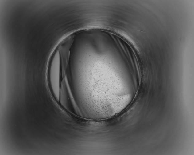 X0000093121469200710101031