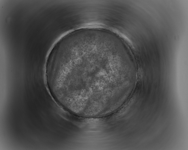 X0000093121470200710101031