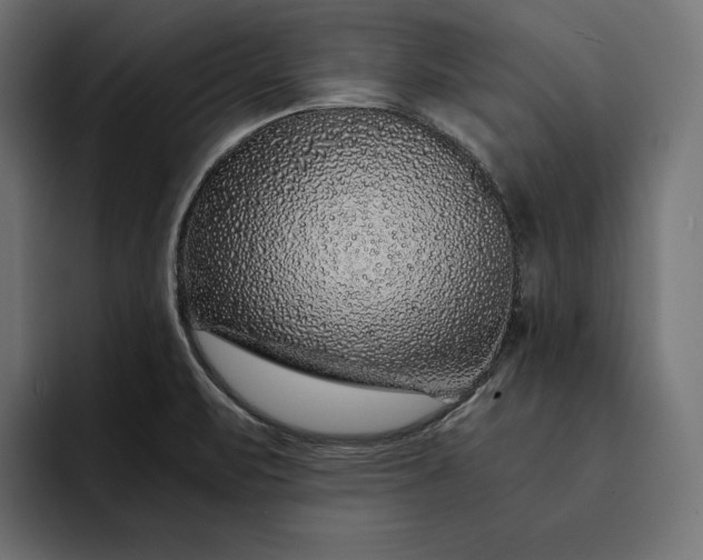 X0000093121471200710101031