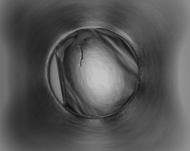 X0000093121472200710101031