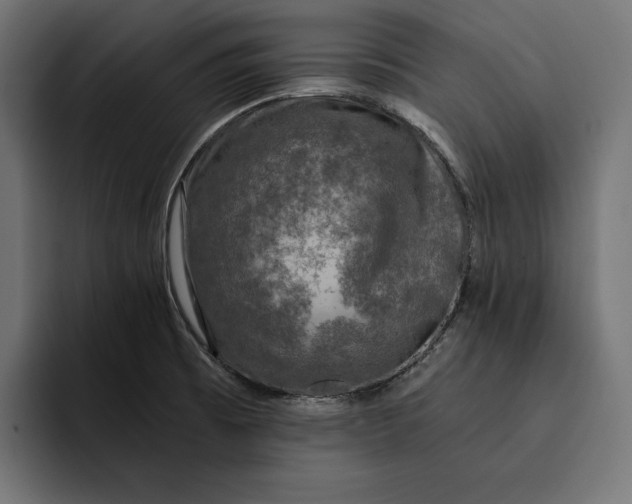 X0000093121473200710101031