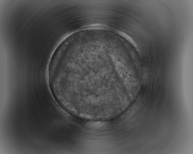 X0000093121474200710101031