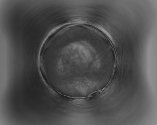 X0000093121477200710101031