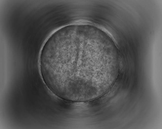 X0000093121478200710101031